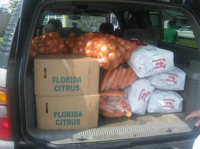 Transporting the produce